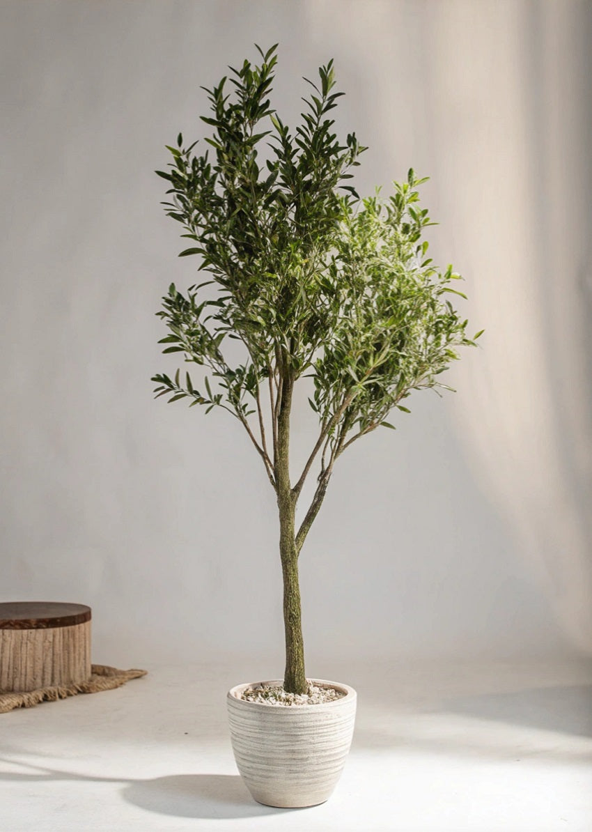 Mediterranean Artificial Olive Faux Tree